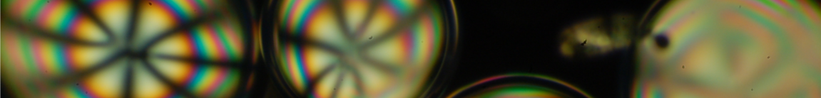 Nematic shells (EC2M)
