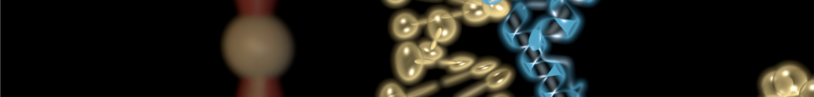Single molecule experiments (NBP)